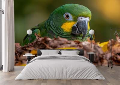  A green-yellow parrot atop two piles of brown and yellow leaves Wall mural