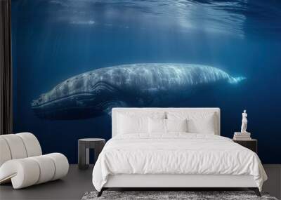  a large gray whale swims under the water's surface.  generative ai Wall mural