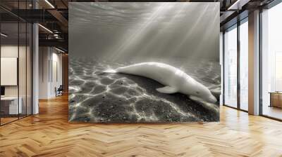  A large white animal reclines on a sandy beach, beside a body of water Sunlight filters through the surface, casting golden rays Wall mural