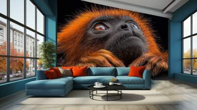  A monkey in close-up, hands touching the back of its own head Wall mural