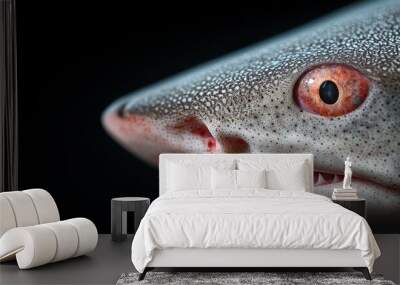  A red spot on a shark's eye against a black background, captured in a tight shot Wall mural