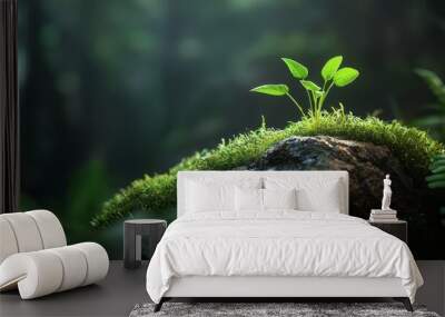  A small plant emerges from a moss-covered rock amidst a forest of ferns Wall mural