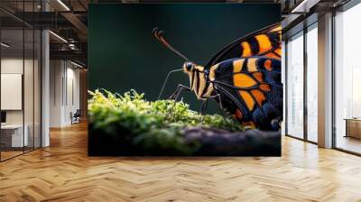  A tight shot of a butterfly on mossy ground with spread wings and closed eyes Wall mural