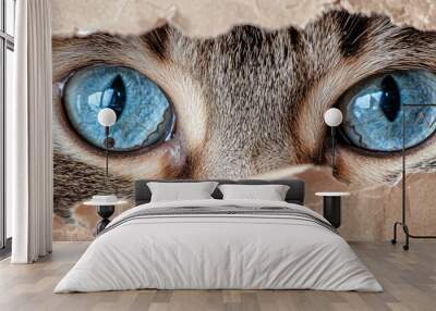  A tight shot of a cat's blue eyes emerging from a brown paper's hole Wall mural