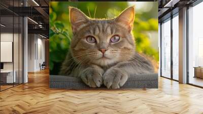  A tight shot of a cat sitting atop a couch, facing a potted plant brimming with verdant foliage Wall mural