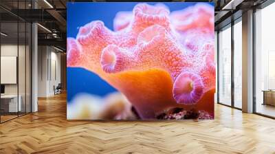  A tight shot of a pink sea anemone on coral, surrounded by additional corals in the background Wall mural