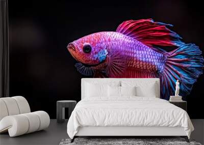  A tight shot of a red and blue fish against a black backdrop, illuminated by a hazy, out-of-focus light Wall mural