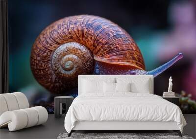  A tight shot of a snail's shell atop coral, adorned with water droplets Wall mural