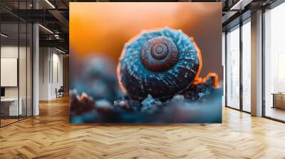  A tight shot of a snail's spiral shell against a softly blurred backdrop of blue, yellow, and orange Wall mural