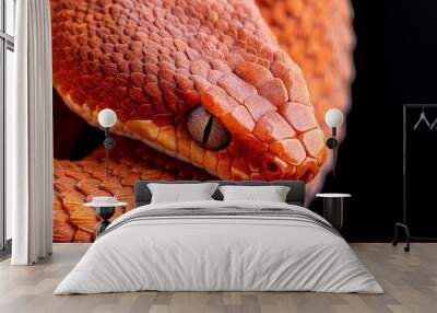  A tight shot of a snake's head, revealing an open mouth and extended tongue Wall mural