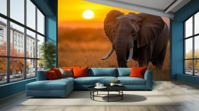  An elephant stands in a grassy field as the sun sets on the horizon Wall mural