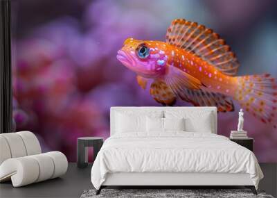  Close-up image of a tiny orange & white fish amidst pink-purple sea anemones Wall mural