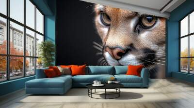  Close-up of a mountain lion's intense face against a black backdrop Wall mural