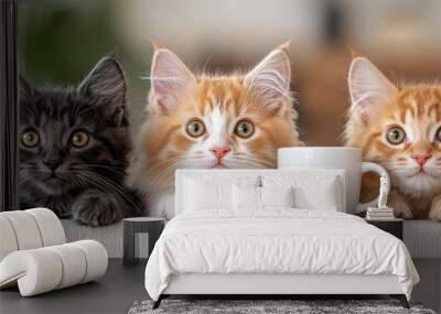  Three kittens sit together on a couch, a coffee cup positioned in front of them Wall mural