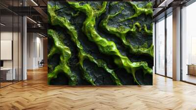 a close up green substance on the surface piece of paper that looks like a snake's tail. Wall mural