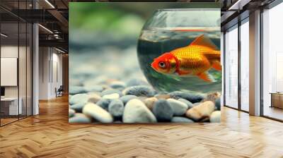 a goldfish swims in a bowl of water surrounded by rocks and pebbles in a fish bowl on a table. Wall mural