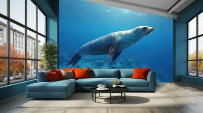 a sea lion swimming in the ocean with sunlight shining on it's face and a body of water in the background. Wall mural