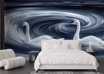 two white swans swimming in a body of water with a swirl of water in the middle of the body of water. Wall mural