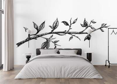 ink hand drawn branch with leaves Wall mural