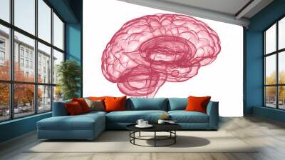 X-ray human brain isolated on white Wall mural