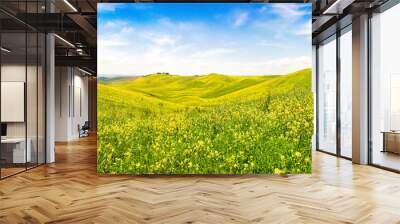 Field of flowers with blue sky and clouds, Tuscany, Italy Wall mural