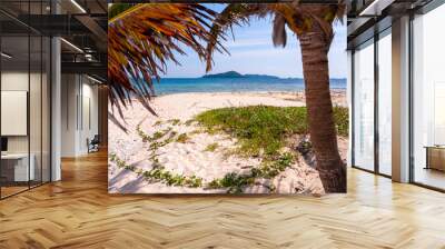 Tropical beach framed by coconut palms Wall mural