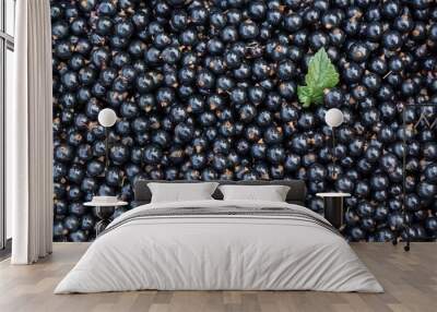 bunch of harvested black currants and a leaf Wall mural