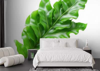 Detailed closeup of a lush green tropical leaf against a white background Wall mural