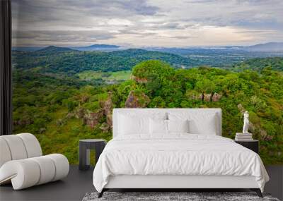 Aerial view of lush, green landscape with unique rock formations at Ciudad de Piedra, San Jose del Guaviare, Colombia Wall mural