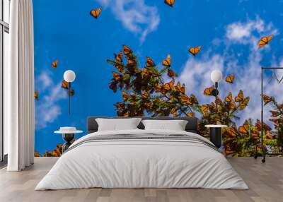 Monarch Butterflies on tree branch in blue sky background, Michoacan, Mexico
 Wall mural