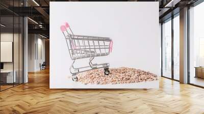 Shopping cart over white background Wall mural