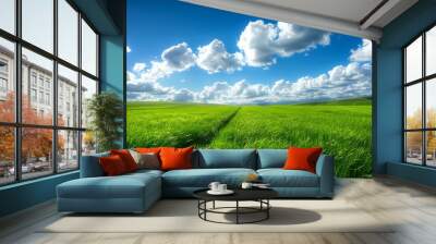 A field of green grass with a blue sky in the background Wall mural