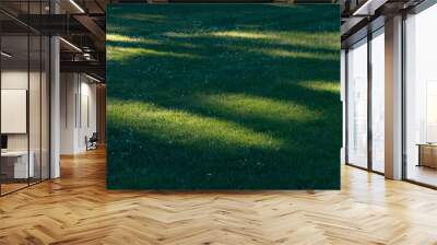 green grass field and sun Wall mural