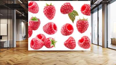 Collection of fresh raspberries in various forms isolated on transparent background Wall mural