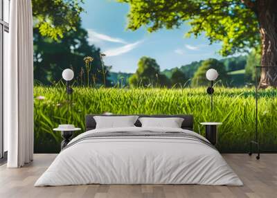 Close up green grass field with tree blur park background,Spring and summer Wall mural