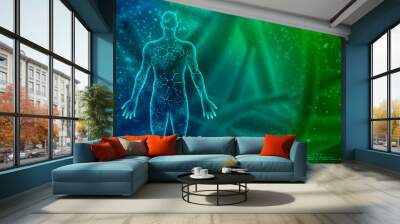 2d illustration Human Male Muscle Body Wall mural