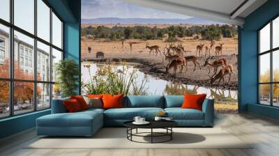 a herd of gazelles reflected in the watering hole, ol pejeta conservandy, kenya, africa Wall mural