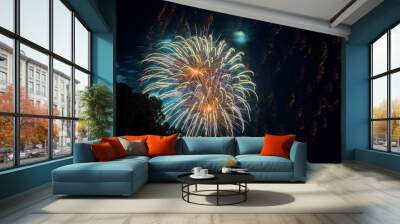 Amazing fireworks exploding in a night sky with vibrant color and streaks of abstract shapes Wall mural