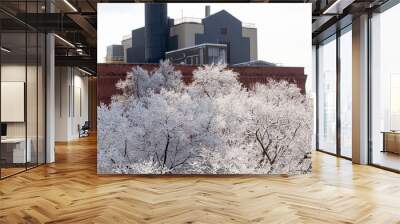 Snow flocked trees in front of industrial building in the north, USA Wall mural