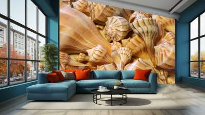 Close up view of Lightning Whelk shells sitting on sand Wall mural