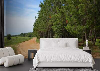 Curved dirt road with farmland on the left and tall pine trees on the right in rural Georgia, USA. Wall mural