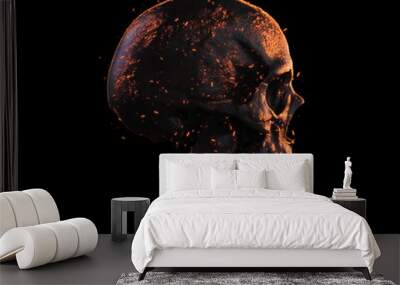 burned skull side view wallpaper 3d illustration Wall mural