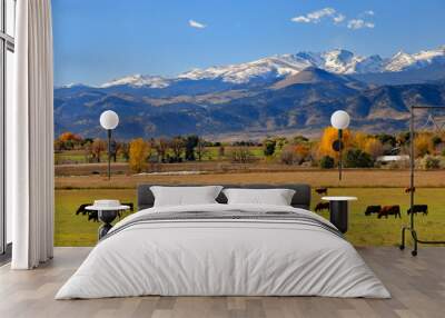 Cattle ranch near Boulder, Colorado Wall mural