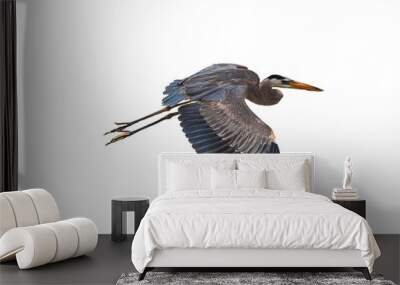 Great Blue Heron (Ardea herodias) Photo, High Definition, in Flight on a Transparent Background Wall mural