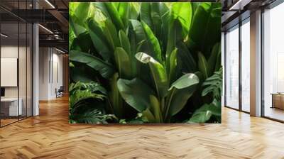 Bali style template green background, exotic tropical wall with green palm and banana leaves and atmospheric sunlight rays. Wall mural