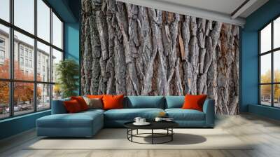 A nice weathered bark of a tree - closeup pattern Wall mural