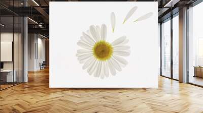 Close-up and top angle view of white petals of a daisy flower on white floor, South Korea
 Wall mural