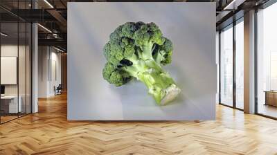 Close up of a raw broccoli on gray floor, South Korea
 Wall mural