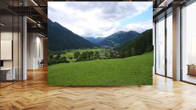 Lush green meadows in Mölltal Valley in Austria Wall mural