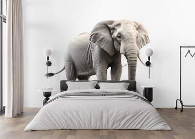 Elephant png  Wall mural